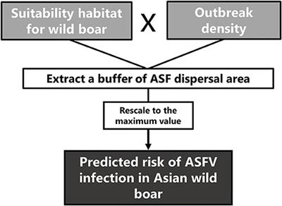 The Role of the Wild Boar Spreading African Swine Fever Virus in Asia: Another Underestimated Problem